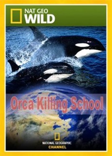 Cosmos Documentaries Watch Documentary Films Online Orca Killing School Documentary Film