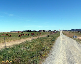 Fincas ganaderas en el camino de entrada a Valdesalor