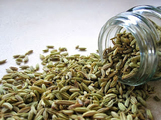 Fennel and weight loss Fennel and weight loss