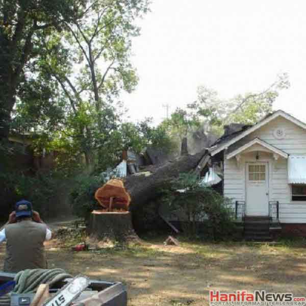 Cara Menebang Pohon Paling Gak Pake Pikiran http://www.opoae.com/2013/03/foto-kebodohan-ketika-menebang-pohon.html