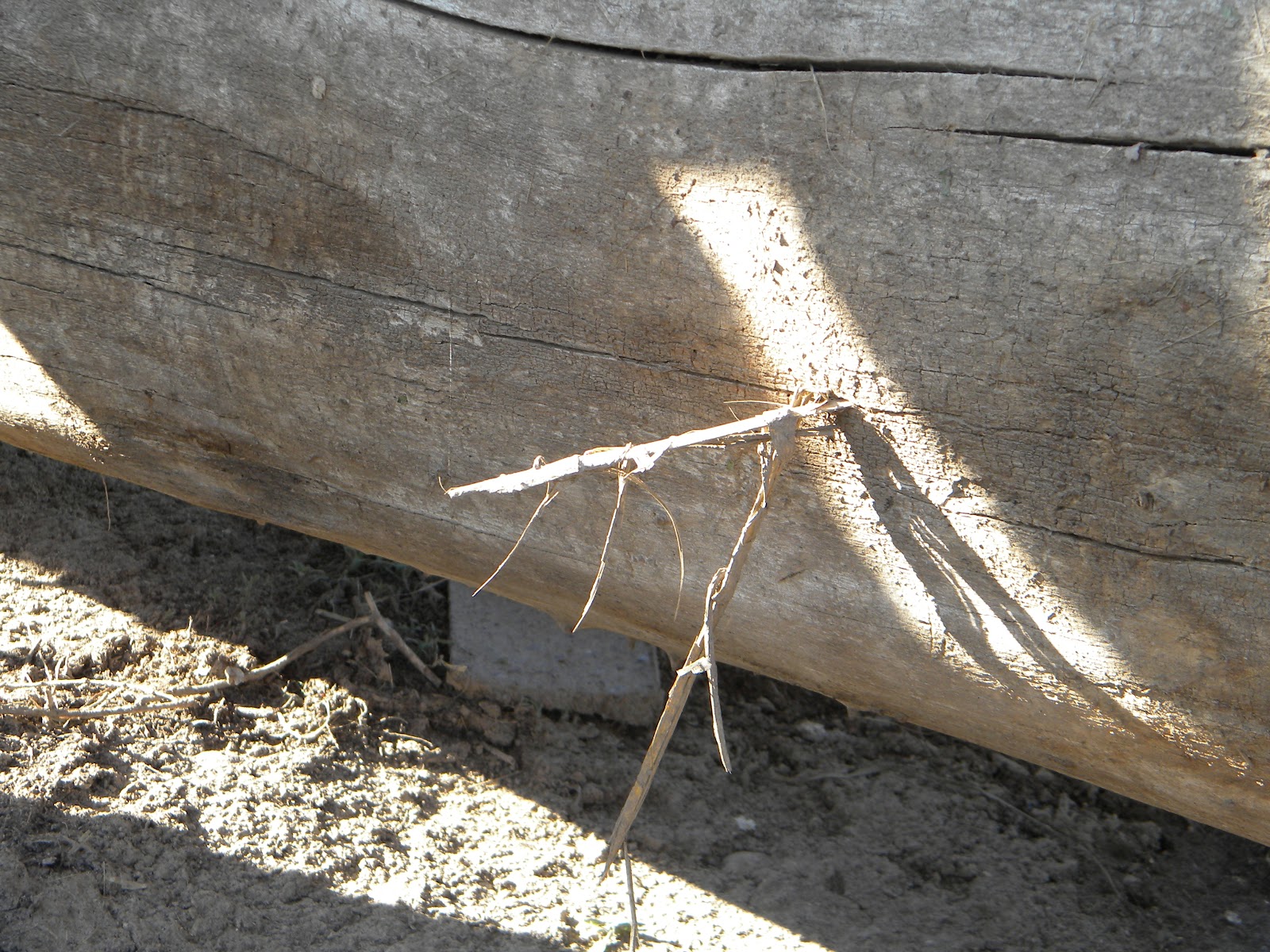 The Original Weather Blog The Tornado Chronicles Lamar, CO Area