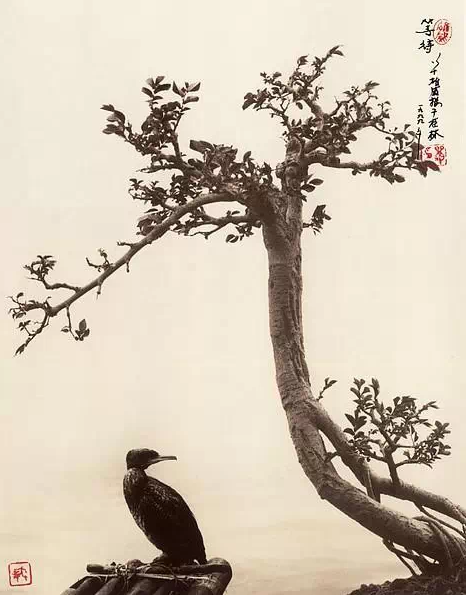 這到底是攝影還是國畫?! - 亮麗 - 亮麗的博客 這到底是攝影還是國畫?! - 亮麗 - 亮麗的博客