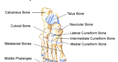 OJAMES FOOTWEARS: WHAT IF THEIR WAS NO FOOT