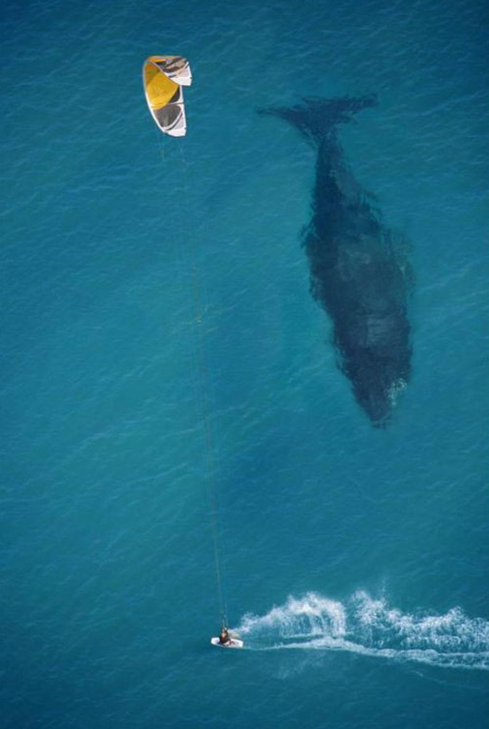 kitesurfing