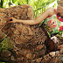 Teena By Hina Butt African Safari Glam 2015-16