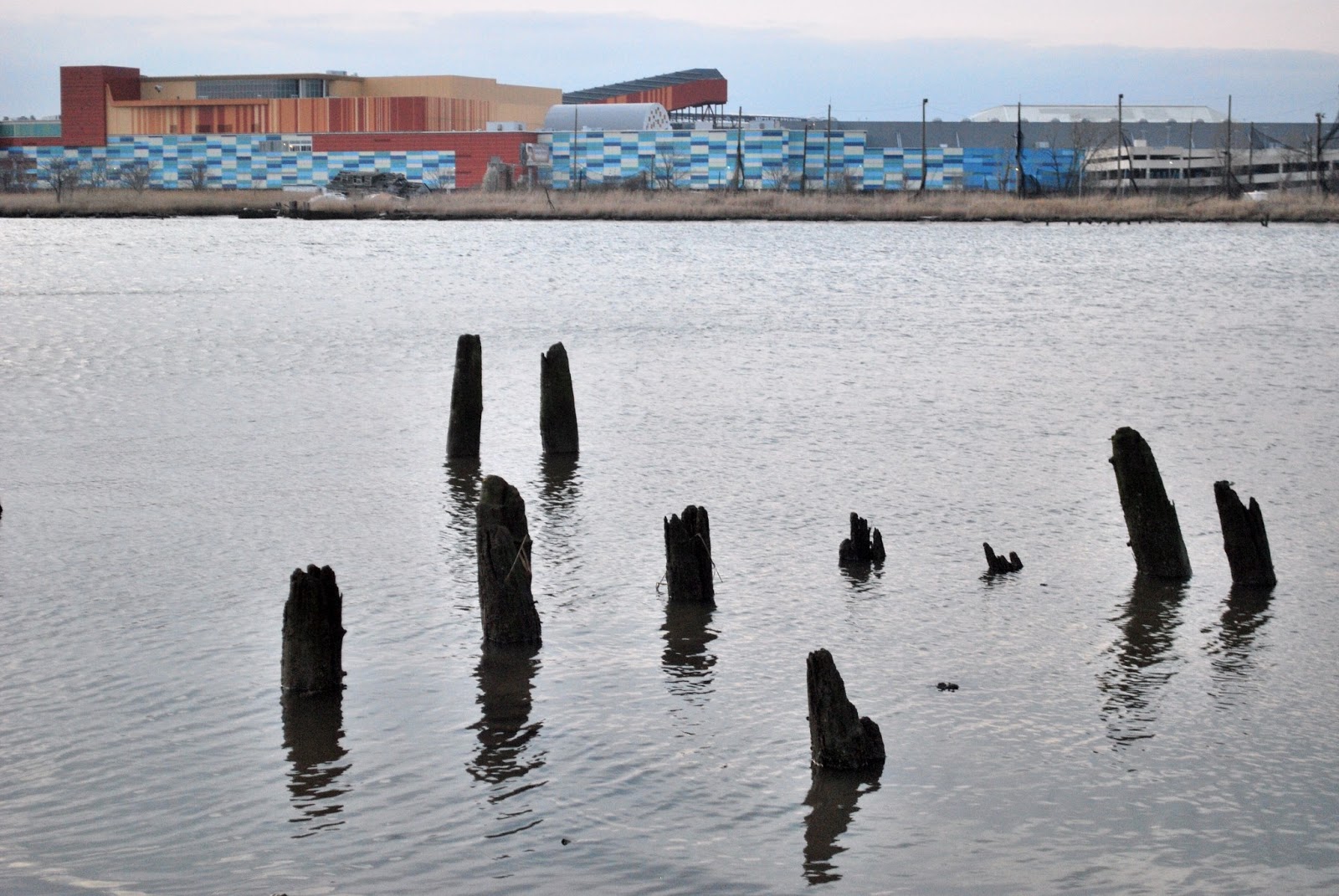 Litton's Fishing Lines No Fishing at DeKorte Park/Tried for Stripers