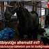 Arı Balının Antibiyotik Özelliği Varmı?