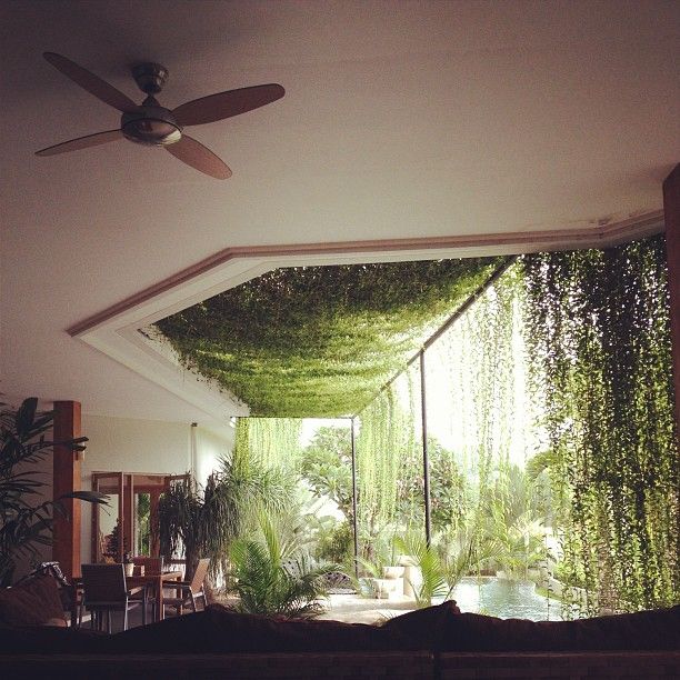 Moon To Moon Happy Hanging House Plants