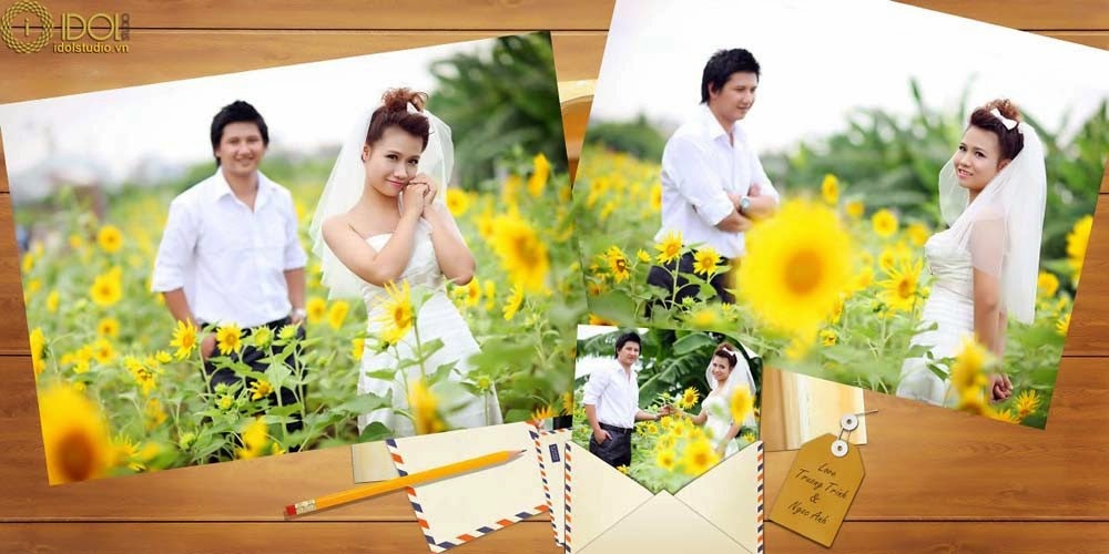 Vườn hoa hướng dương - Địa điểm chụp ảnh đẹp ở Hà Nội Vườn hoa hướng dương - Địa điểm chụp ảnh đẹp ở Hà Nội