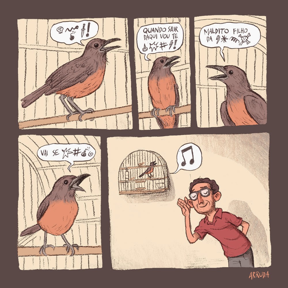 Картинка Как Твоя Диета Птички
