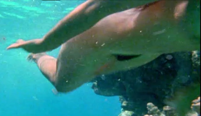 Easiest Nude Scene In History! 58 Phoebe+Cates+(19)