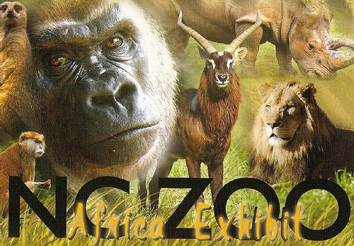 asheboro zoo logo
