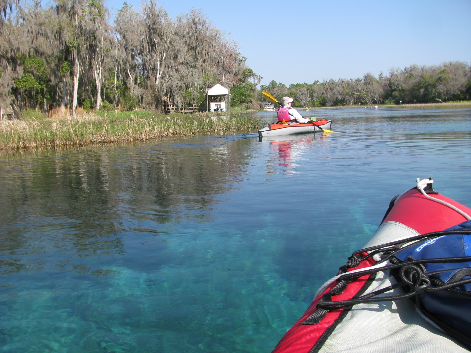Where's Liz2011? Rainbow River and the La Chua Trail