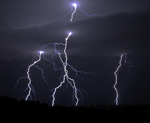 Electrocuted Horses