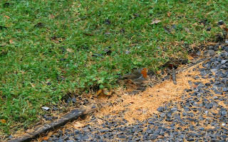Outside now, thanks for having me Outside now, thanks for having me