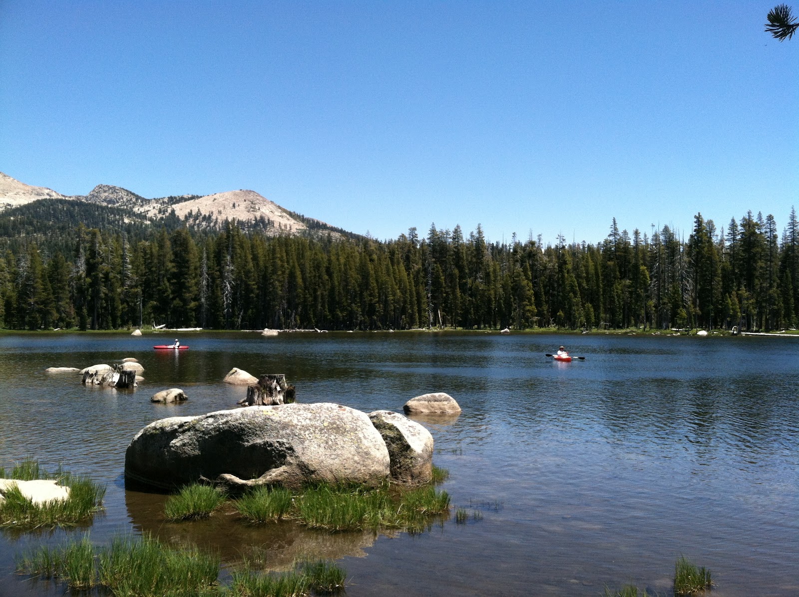 A View Between The Ears Horse Camping At Wrights Lake