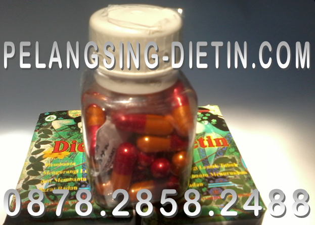 Dietin