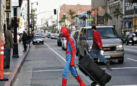 Spider_72af08_190197.jpg