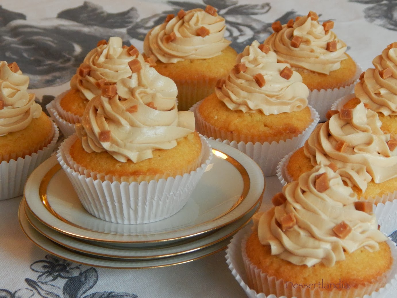 Dessertlandia Caramel Vanilla Cupcakes