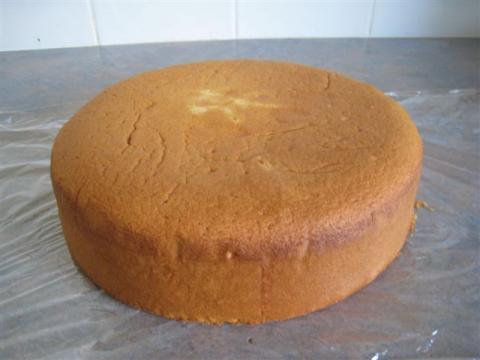 Tall Sponge Cake Recipe Tall Sponge Cake Recipe