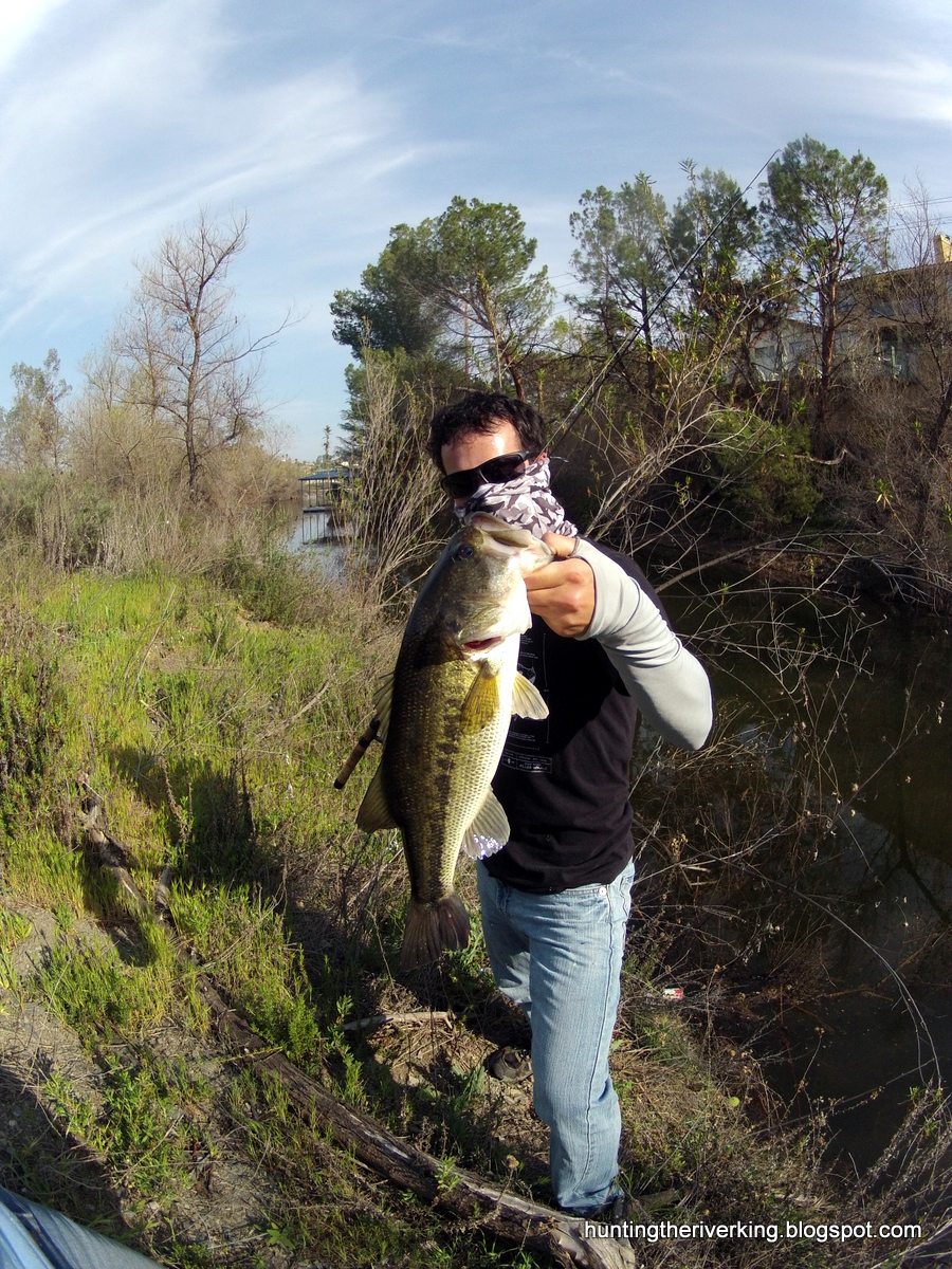 Spring California Bass Fishing Hunting the River King