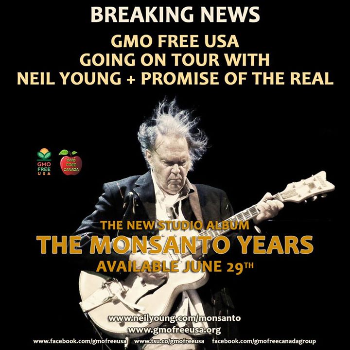 Neil Young News: Neil Young Gets Social with Monsanto Years & Rebel