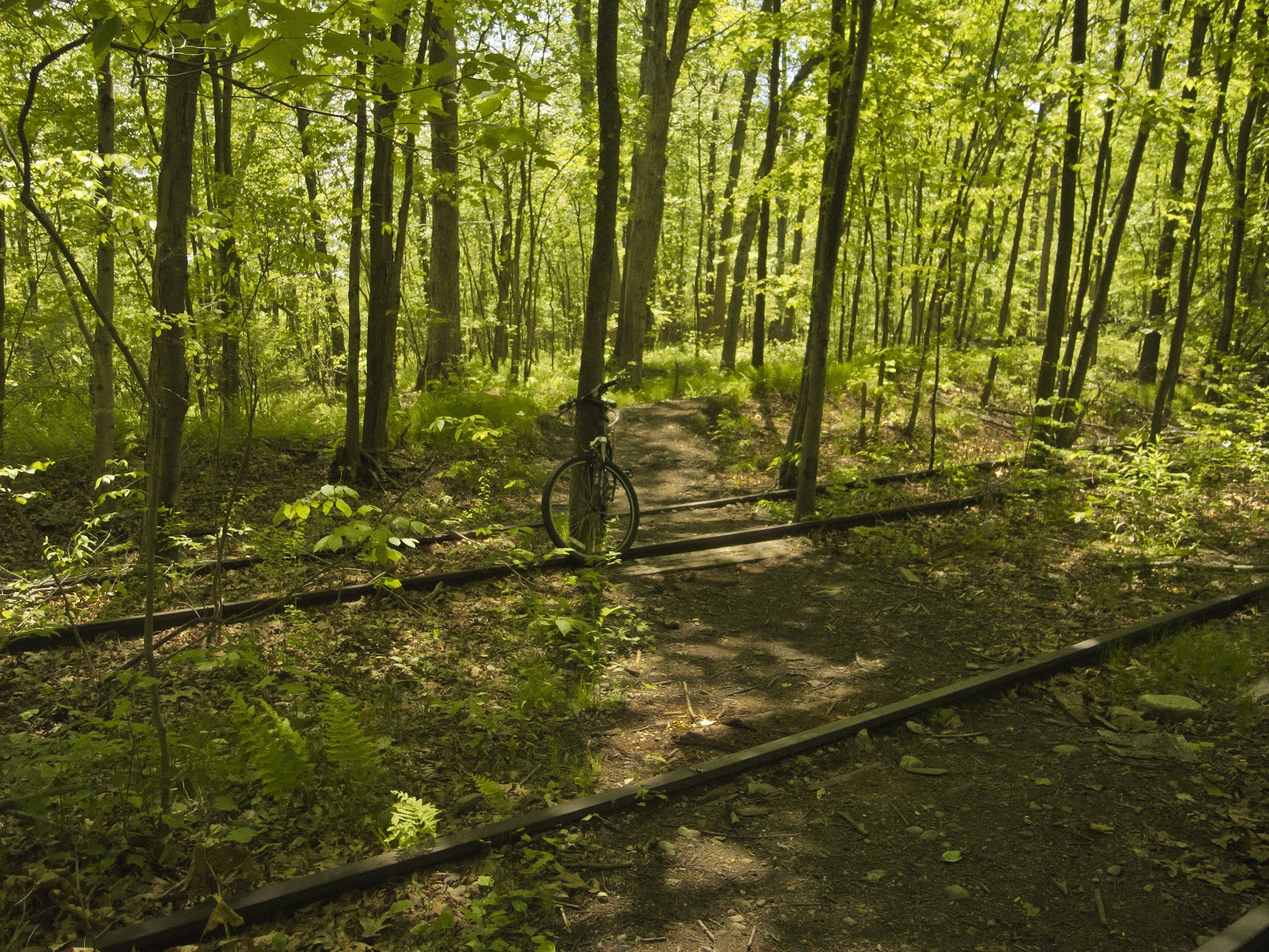 Connecticut Explorer Trail Biking The Monroe Housatonic Railbed