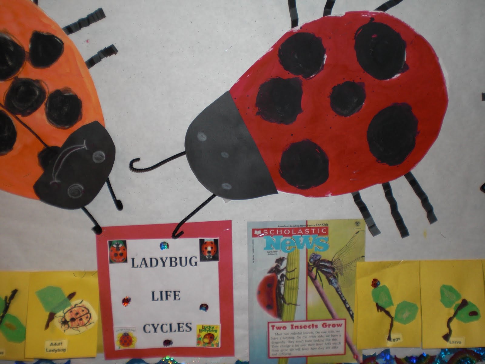 Dragonflies+life+cycle+for+kids