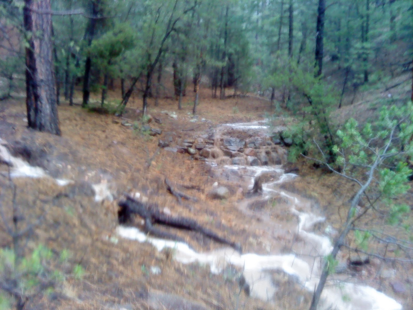 High Desert Dirt Little Tesuque Trail Santa Fe