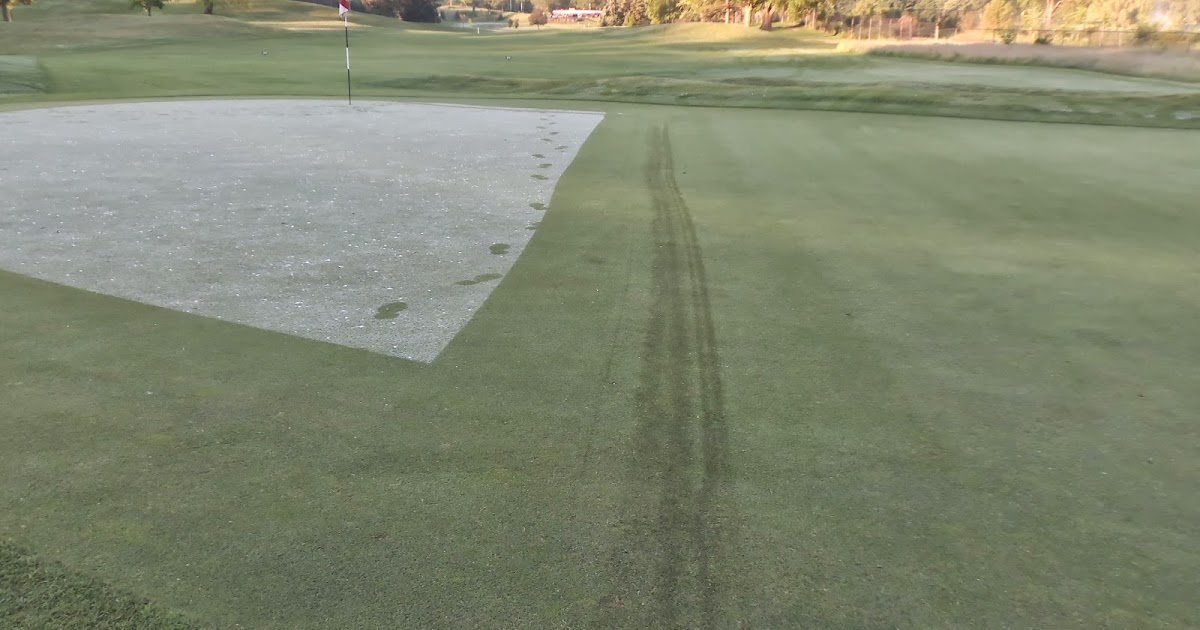 Tree Town Turf Guy Hydraulic Leak