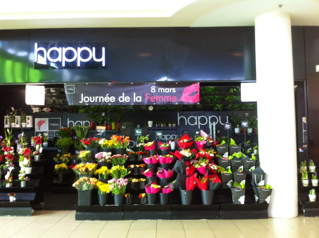 Exercices Corriges Sur Les Forces 4eme En Pdf Exercours