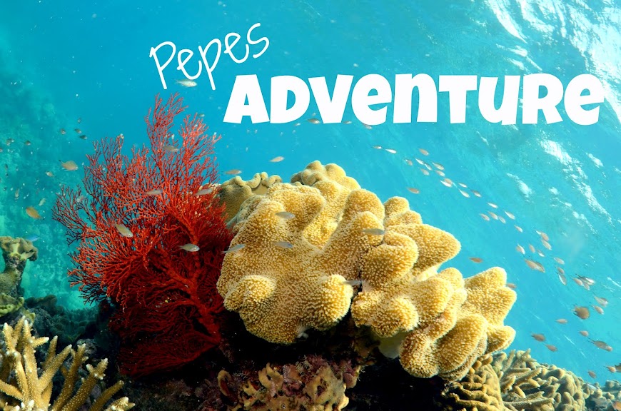 Pepes Adventure