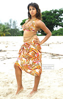 Sanjana, sizzling, in, beach, 