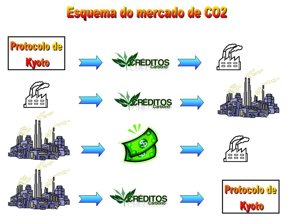 Mercado De Creditos De Carbono biolunorney
