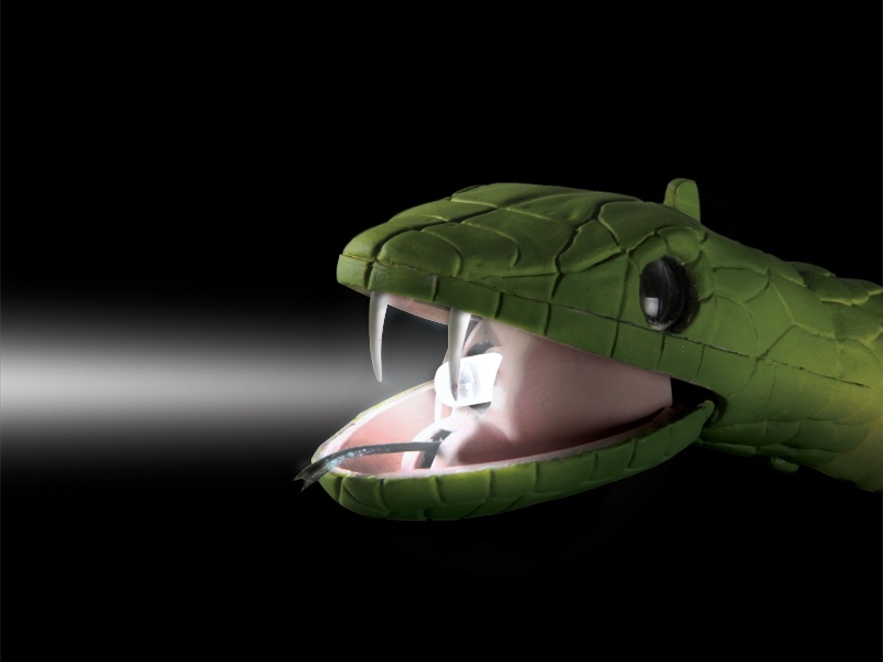 The ABCD Diaries: Nat Geo Wild Toys from Uncle Milton Review...