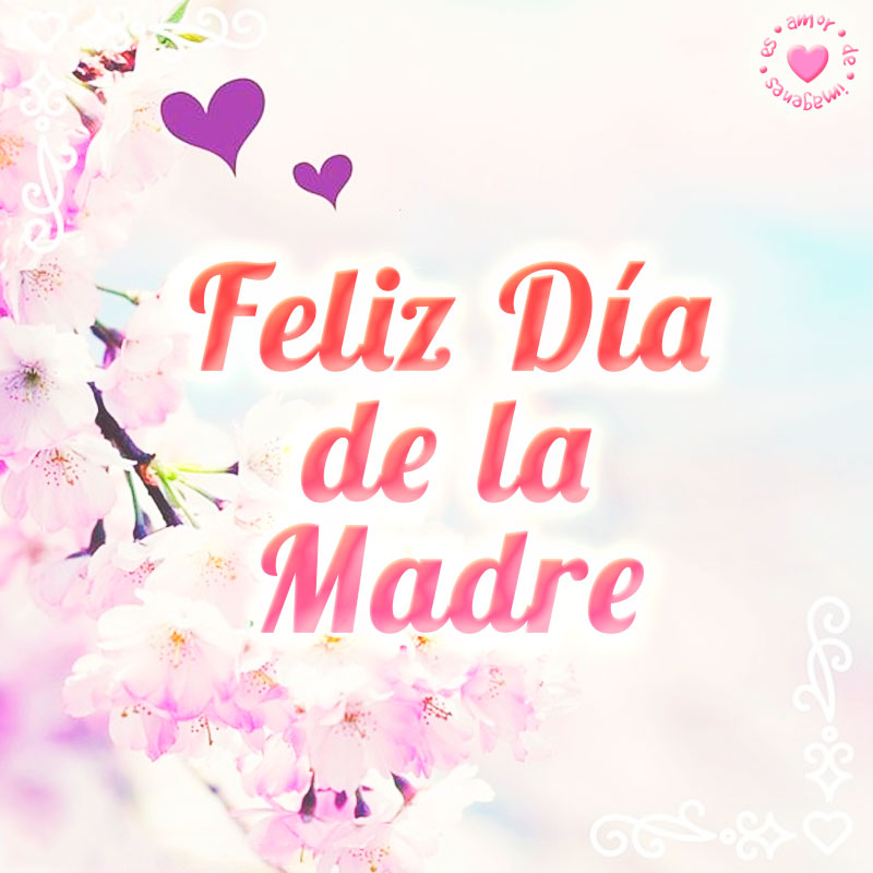 feliz dia delas madres feliz dia delas madres