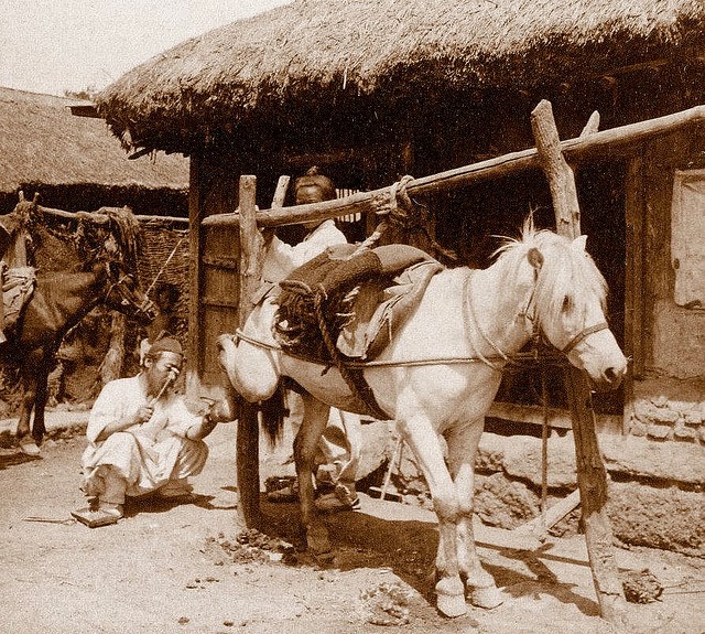 the challenging life in the 1900s the challenging life in the 1900s