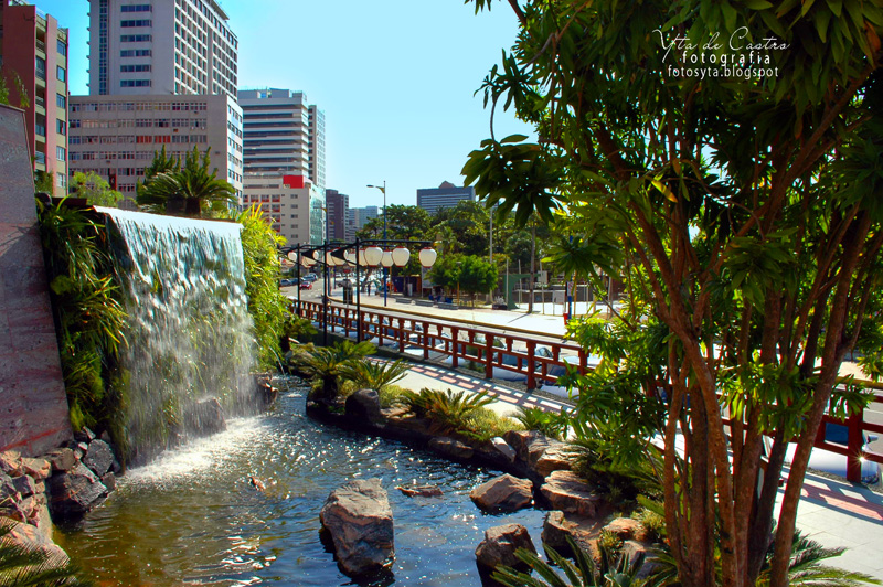 imagens jardim japones:Fotos Yta :.: Jardim Japonês, Fortaleza imagens jardim japones:Fotos Yta :.: Jardim Japonês, Fortaleza