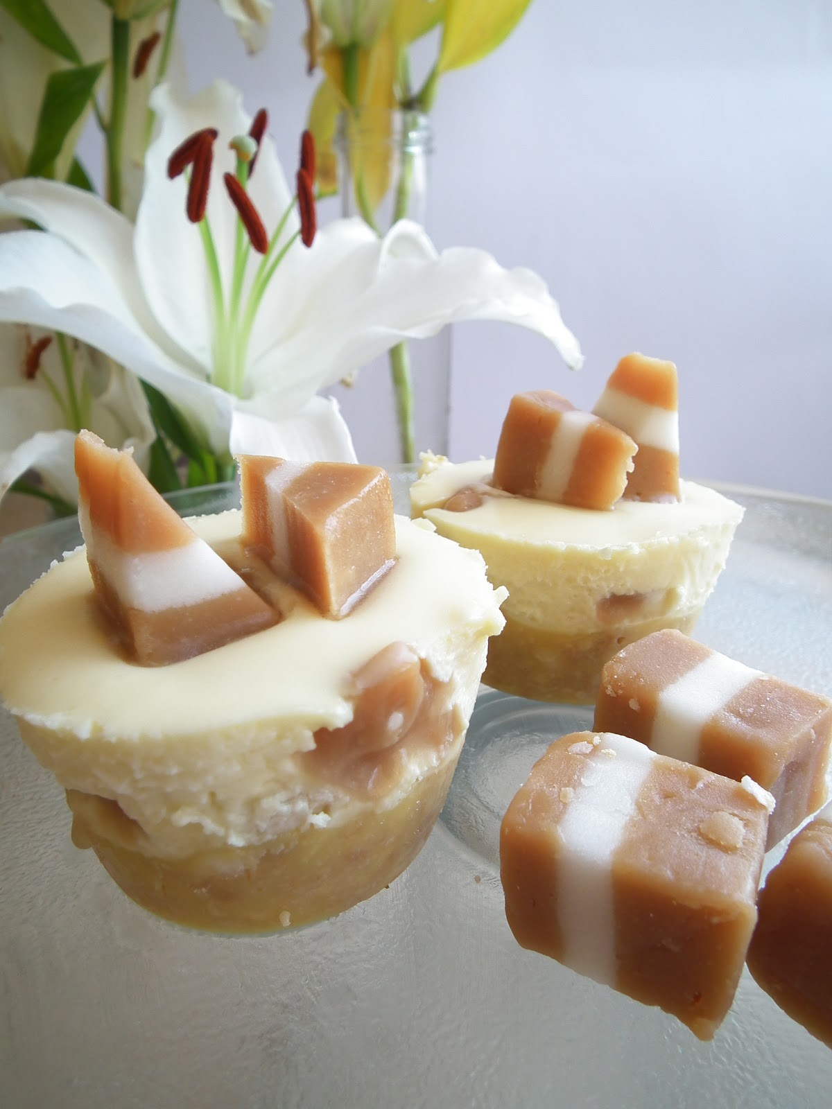 Sugabuttacream Mini Jersey Caramel White Chocolate Cheesecake