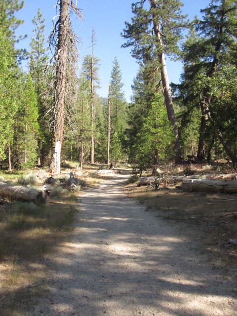 Where To Go In Yosemite With Kids Swinging Bridge Trail