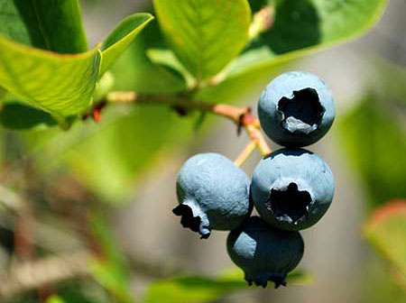 Natural Foods Commercial St Salem Oregon Natural Foods Commercial St Salem Oregon