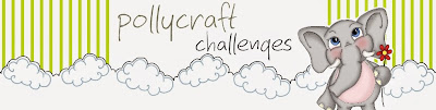 Pollycraft Challenge