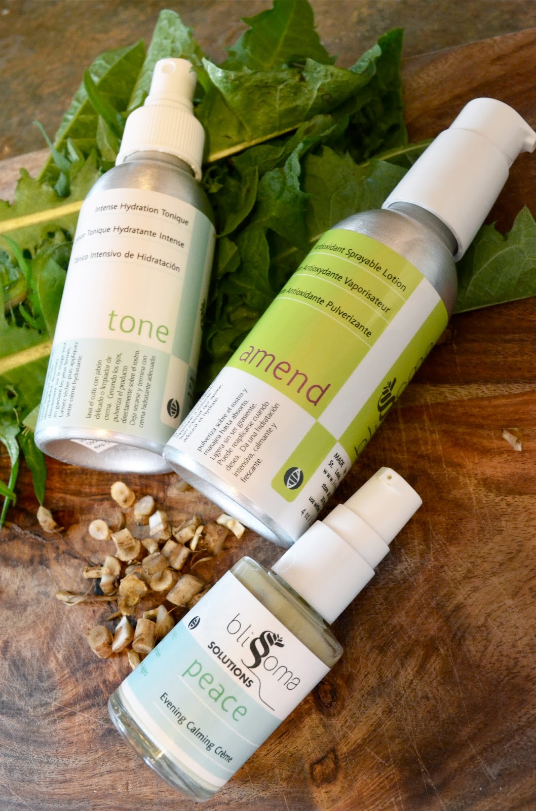 How dandelions benefit your health and skin for natural beauty From