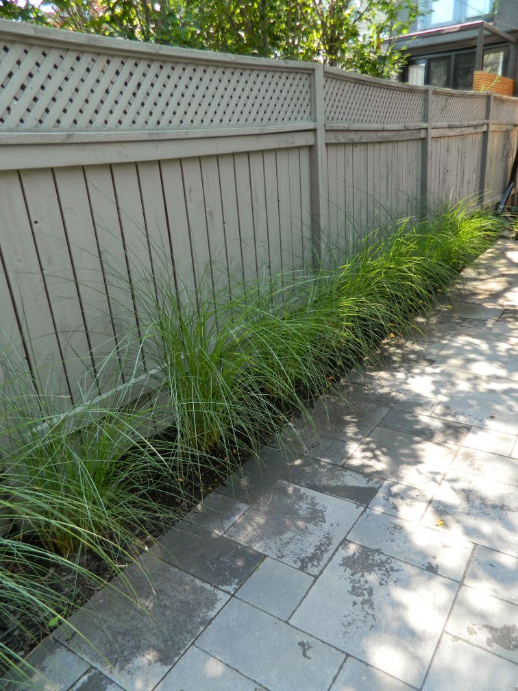Greektown garden design after by Paul Jung Gardening Services Toronto Greektown garden design after by Paul Jung Gardening Services Toronto
