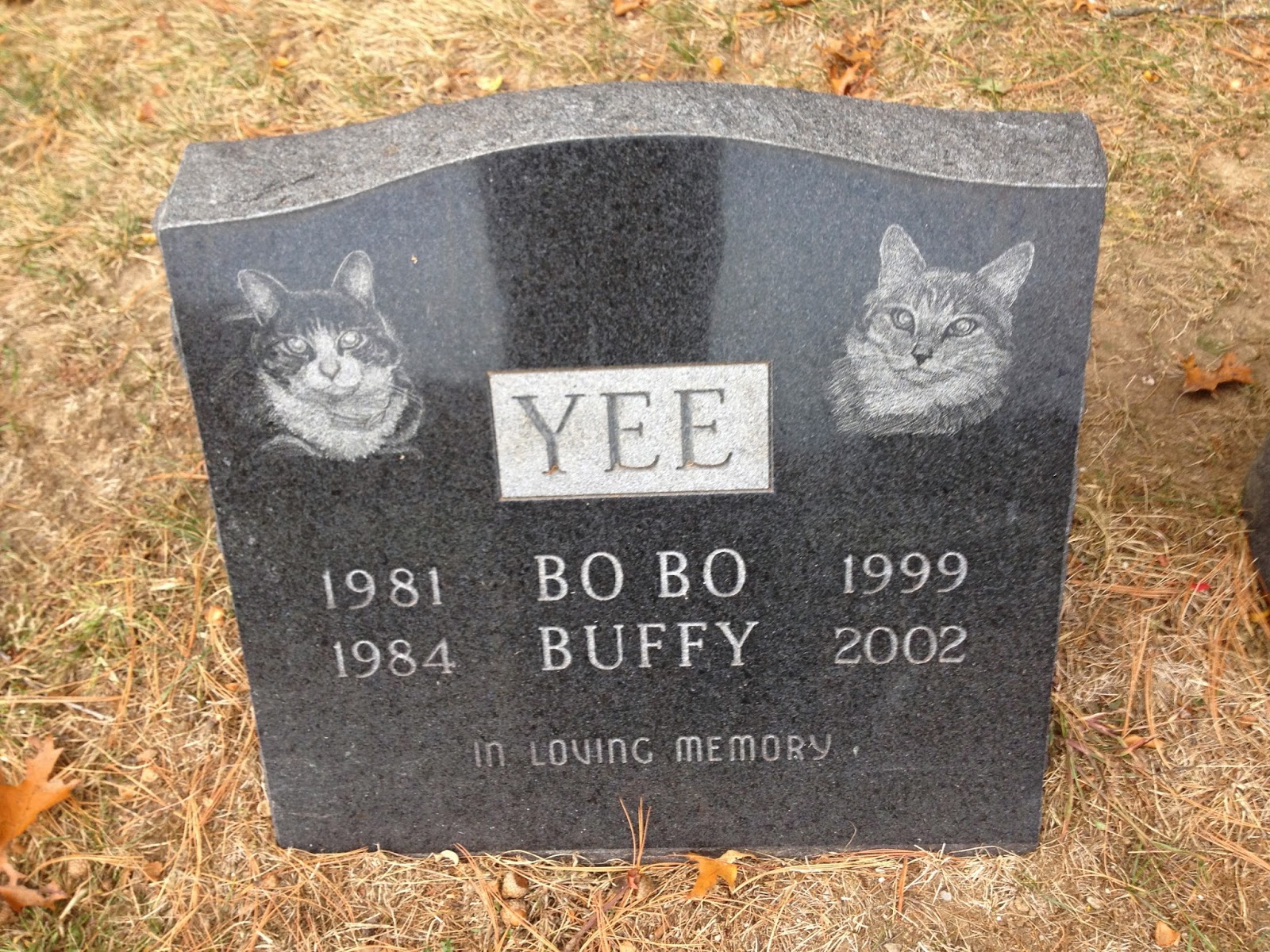 DOG PARTY! Very Funny Pet Cemetery