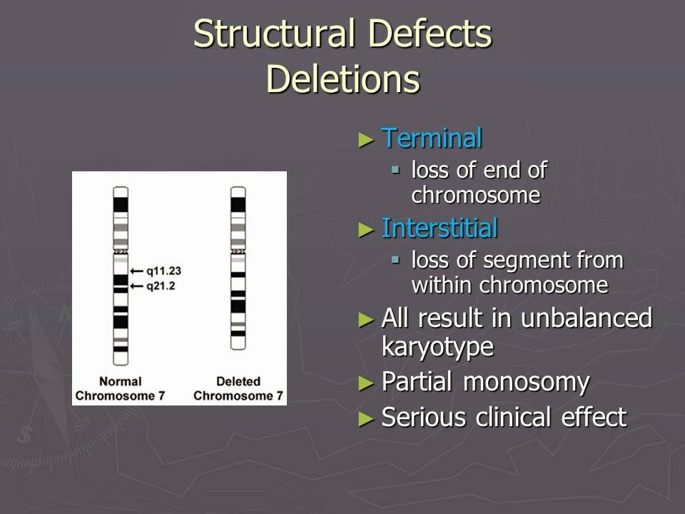 Slide 33