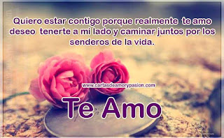 Nunca olvides que te amo. Cartas de amor,
