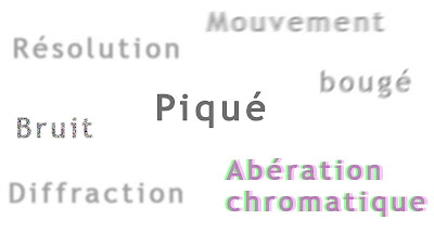 Piqué et flou piqué-photo-flou-nette