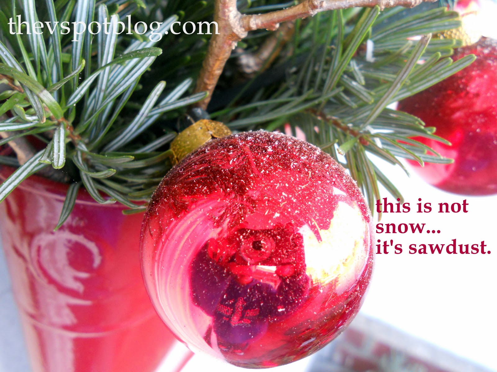 December In Southern California The Unexpected Truth About The Weather - 54jhnnt