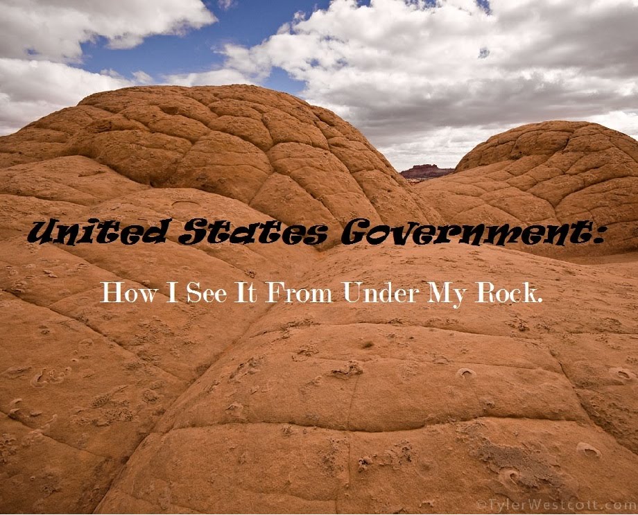 United States Government:  How I See It From Under My Rock.